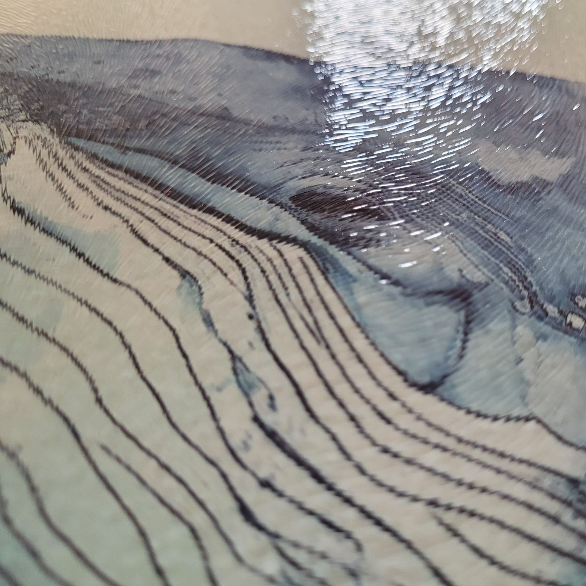 Close-up of a whale's face on glass cutting board with wavy patterns