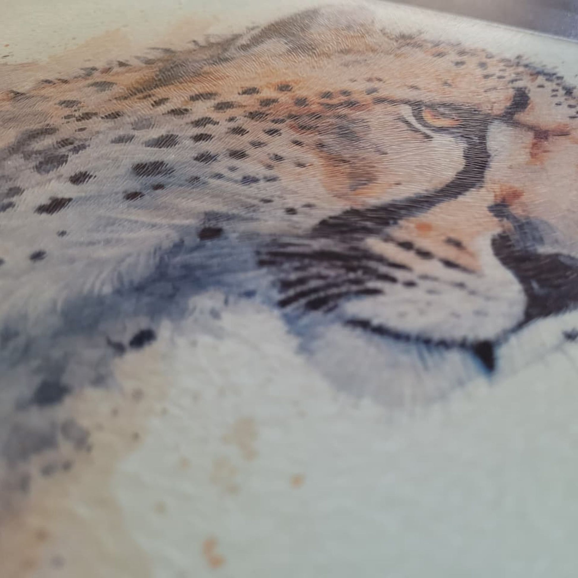 Close-up of a cheetahs's face on a glass cutting board with a blurred background